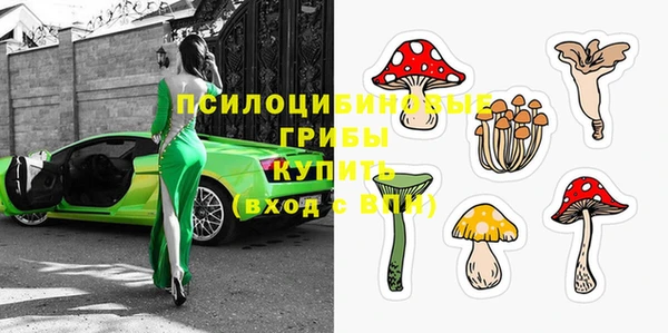 мяу мяу мука Магадан